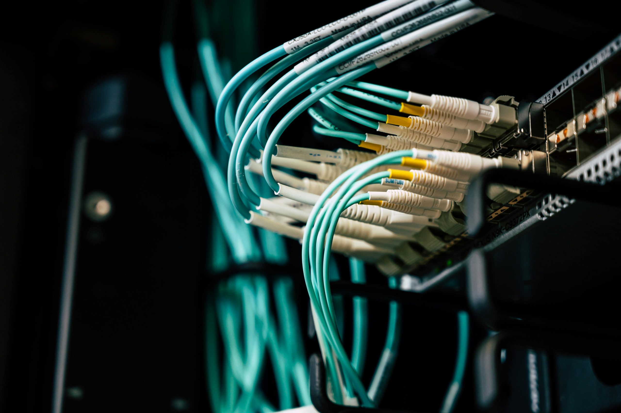 Netzwerkkabel im Serverrack - innovative IT-Lösungen für eine stabile IT-Infrastruktur